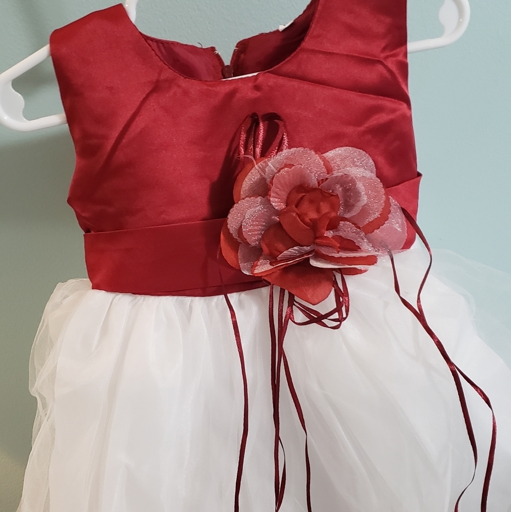 Little Girls Rose Dress